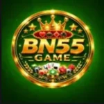 BN55 game