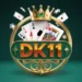 DK11 game