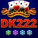 DK222 game