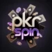 PKRSPIN game icon android