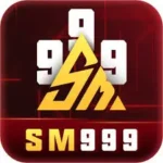 SM999 game APK